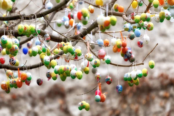 Ovos de Páscoa na árvore — Fotografia de Stock