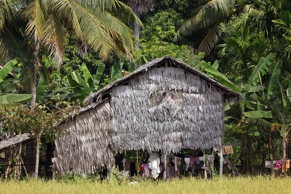 Palm tree house — Stock Photo, Image