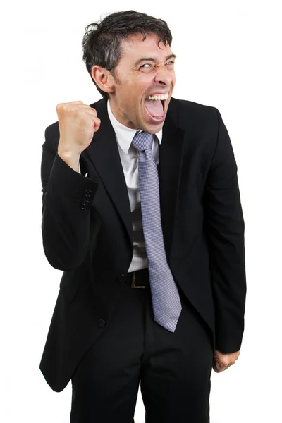 Gleeful businessman celebrating a victory Royalty Free Stock Images