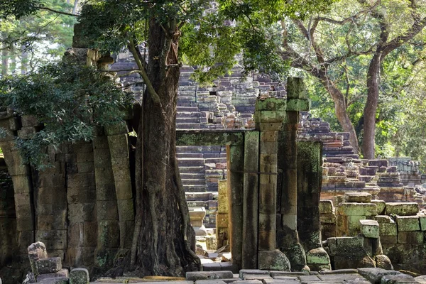 Chrám Preah pithu — Stock fotografie