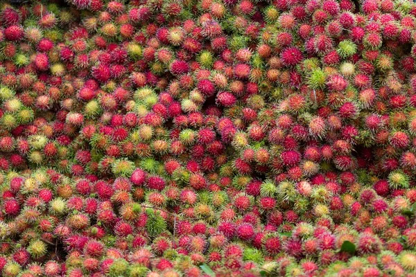 Rambutan Frucht Hintergrund — Stockfoto