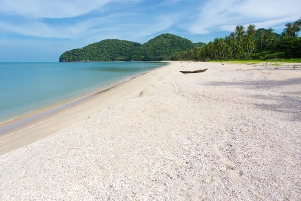 Roligt tropisk strand paradis - Stock-foto