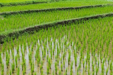 Teras alanında Bayındırlık