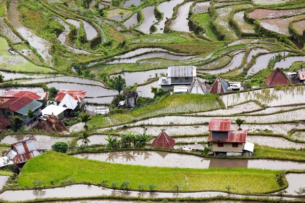 Filipinlerdeki pirinç tarlaları — Stok fotoğraf