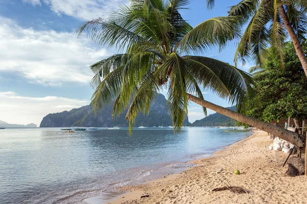 巴拉望岛地处热带的海滩 — 图库照片
