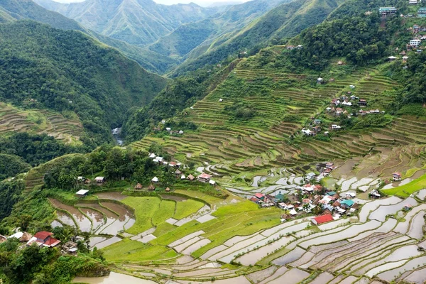 稻田在菲律宾梯田 — 图库照片