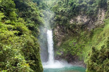 tappiyah tropik şelale