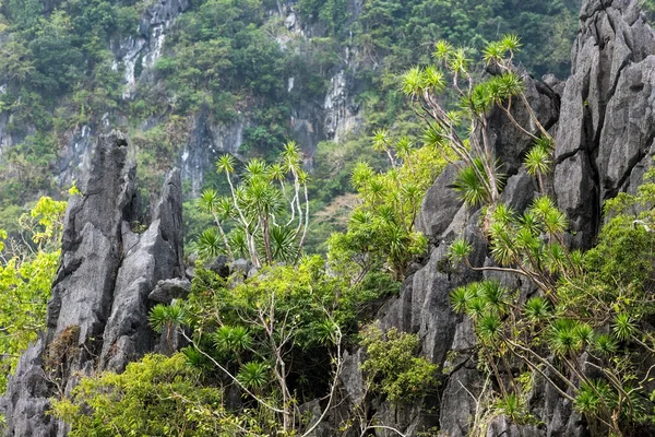 Paisaje de costa de piedra caliza — Foto de Stock