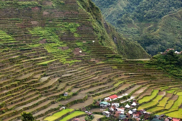 Pirinç terasları Filipinler alanları — Stok fotoğraf