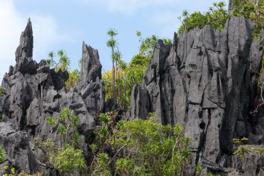 kireçtaşı coastline peyzaj