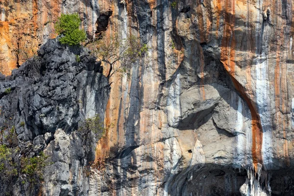 Grandes acantilados de piedra caliza — Foto de Stock