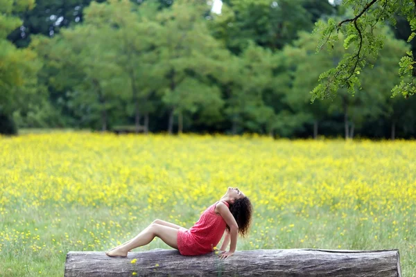 Mooie jonge vrouw ontspannen op een logboek — Stockfoto