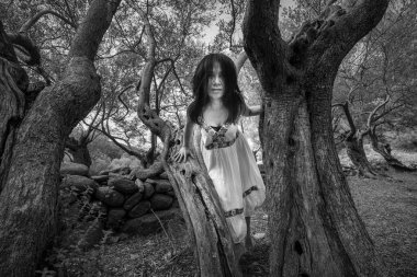 Çarpık zeytin ağacında duran tuhaf ruhani kadın.