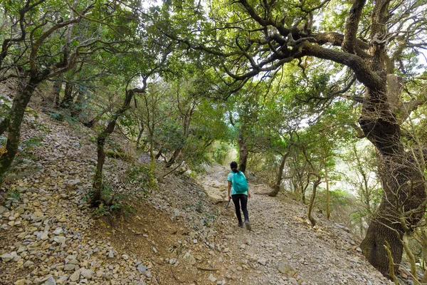 Mujer Joven Trekking Sola Bosque Clima Templado —  Fotos de Stock