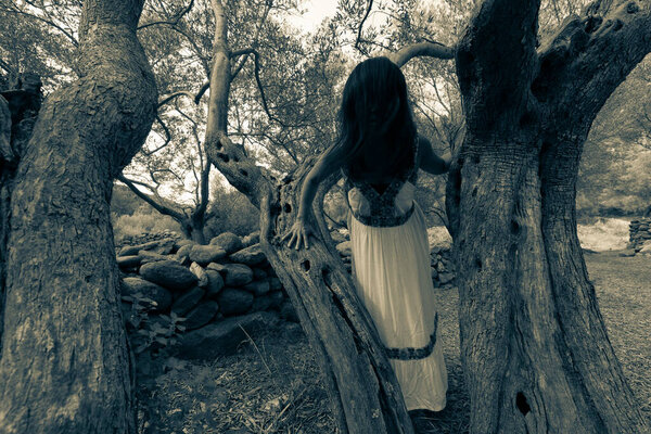 Faceless asian woman standing in an old twisted olive tree