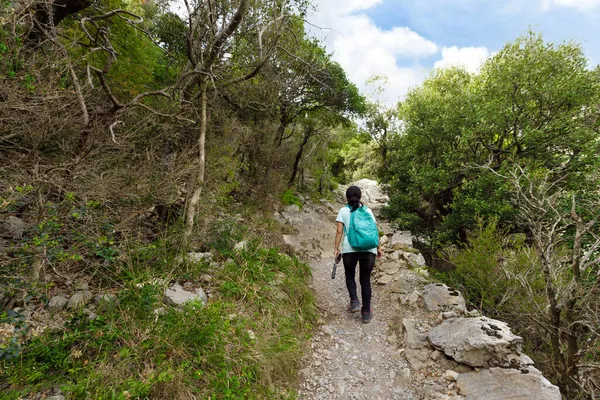 Jonge Vrouw Trekking Alleen Gematigd Klimaat Bos — Stockfoto