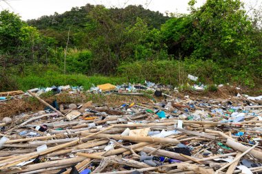 Bir Tayland plaj adasında önemli plastik kirliliği.
