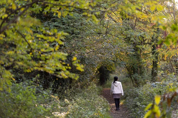 Ilıman iklim ormanlarında yalnız yürüyen genç bir kadın..