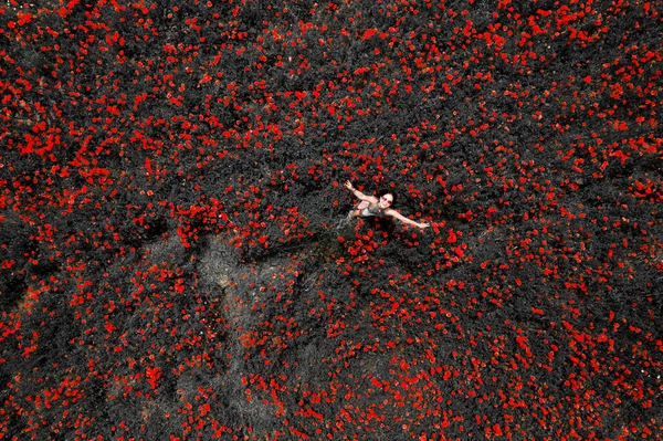 Vue Aérienne Une Femme Joyeuse Milieu Une Grande Prairie Pavot — Photo