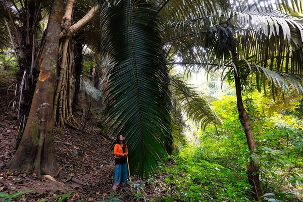 Žena Držící Dřevěnou Hůl Stojí Poblíž Obrovského Palmového Listu Tropickém — Stock fotografie