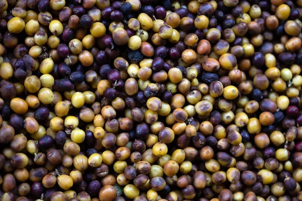 Fondo Frutas Café Maduras Secándose Bajo Sol —  Fotos de Stock