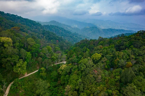 Foto Aerea Della Foresta Pluviale Della Thailandia Settentrionale Durante Stagione — Foto Stock