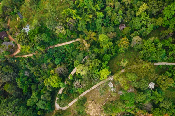 Vista Aérea Superior Uma Estrada Rural Curva Floresta Tropical Norte — Fotografia de Stock