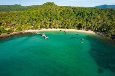 Tayland 'ın Ko Khood adasındaki sahil ve orman manzarası.