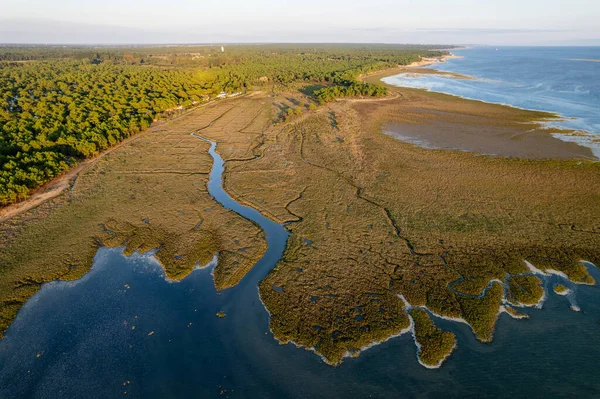 Aerial View Bonne Anse Bay Low Tide Coubre Point France — Stock Photo, Image