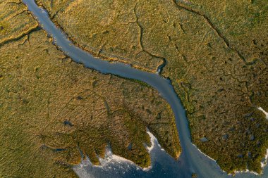 Bonne Anse Körfezi 'nin alçak gelgitte havadan görünüşü, La Coubre Point, Fransa