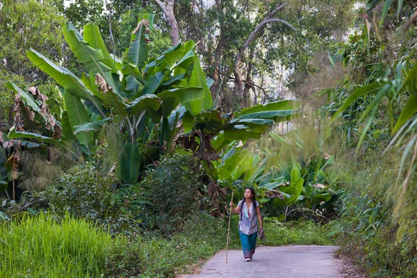 Kobieta Wędruje Ścieżką Dżungli Północnej Tajlandii — Zdjęcie stockowe