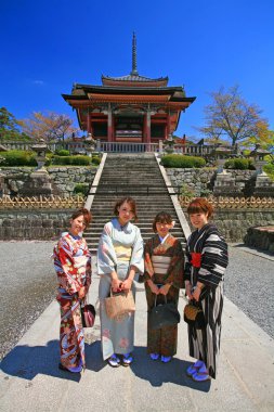 Japon kızlar geleneksel Kimono giyinme kiraz çiçeği tadını çıkarın.