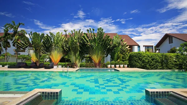 Роскошный голубой бассейн в тропическом саду — стоковое фото