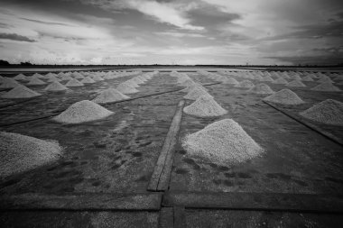 tuz alanların peyzaj