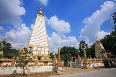 Tay pagoda adlı wat phrathat nong bua