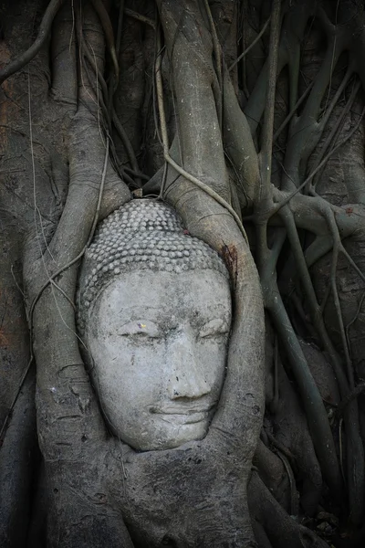 Gold and silver small Buddha statues — Stock Photo, Image