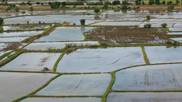 稻田被水覆盖着的鸟瞰图 — 图库照片