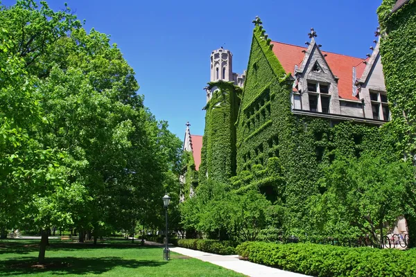 Kampus univerzity v Chicagu — Stock fotografie