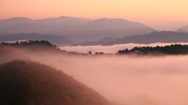 Vista crepuscolo della nebbia mattutina nella foresta pluviale — Foto Stock