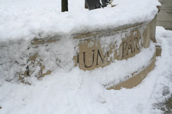 Milenyum park işareti kar kaplı — Stok fotoğraf