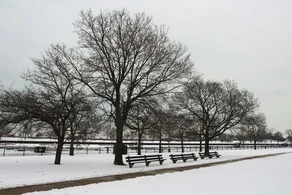 Snowy Chicago'da Noel zamanında — Stok fotoğraf