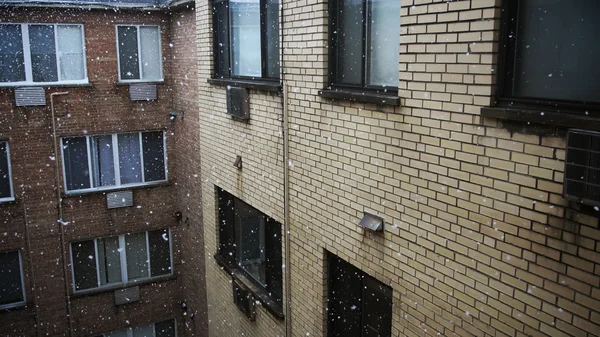 Falling snow — Stock Photo, Image