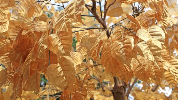 Fałszywe złoty liść ozdoba — Zdjęcie stockowe
