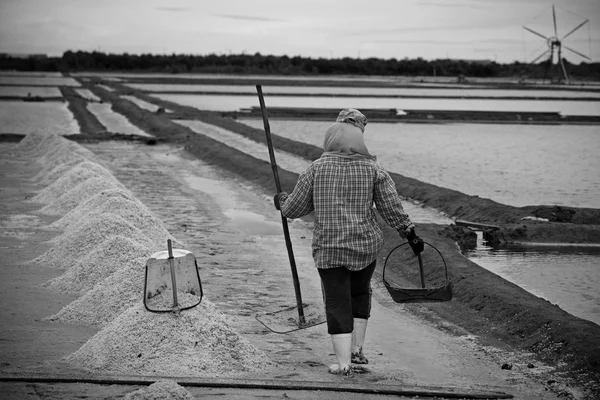 Werknemer op zout pan in samut sakhon — Stockfoto