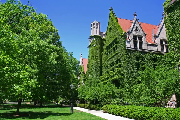Campus da Universidade de Chicago Fotografias De Stock Royalty-Free