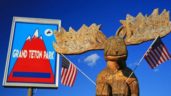 Moose statue with USA flags at Grand Teton park — Stock Photo, Image