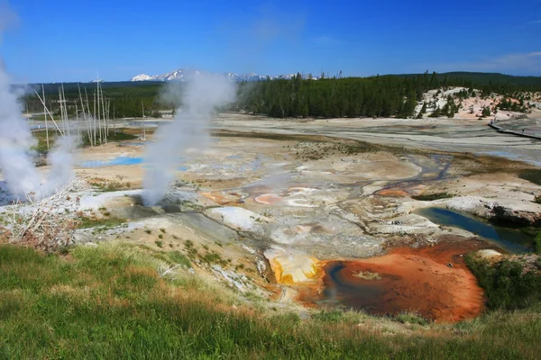 Steaming pool of Geysers in Yellowstone — Stock Photo, Image