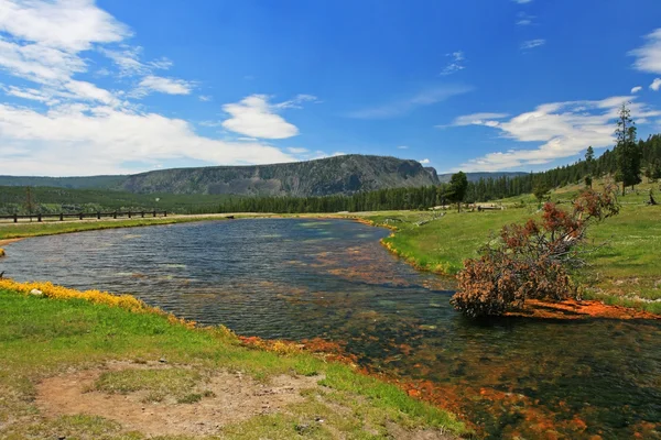 Paisagem do Parque Nacional de Yellowstone em Wyoming — Fotografia de Stock