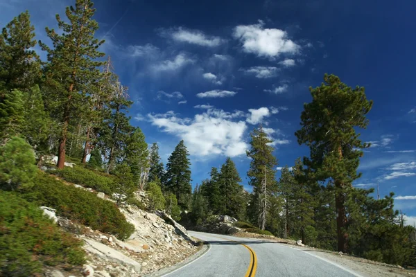 Weg in yosemite national park — Stockfoto