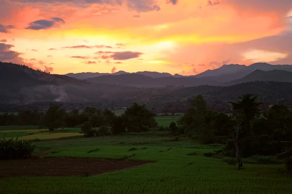 Twilight himlen över gröna jordbruksområdet — Stockfoto